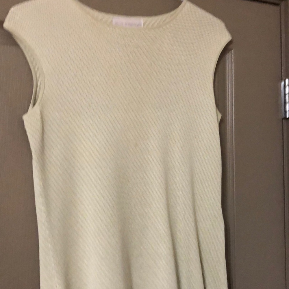 Petite Sophisticated100% Spun Silk light green top